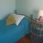 Hostel Agua Santa